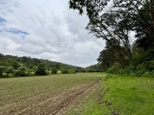 TERRENO EN LOMA DE DON JUAN, VILLA DEL CARBÓN