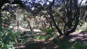 VENDO TERRENO EN LOMA DE LA HACIENDA VILLA DEL CARBON