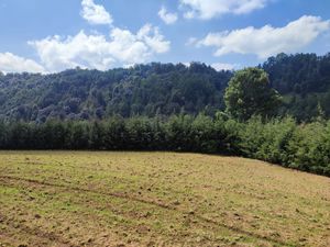 TERRENO RUSTICO EN BARBECHOS , VILLA DEL CARBÓN