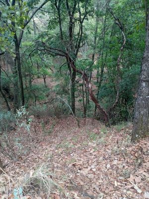 TERRENO EN LOS GONZÁLEZ VILLA DEL CARBÓN