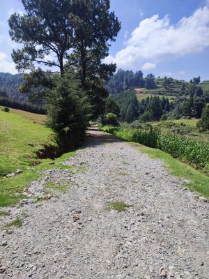 TERRENO RUSTICO EN BARBECHOS , VILLA DEL CARBÓN