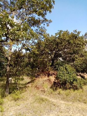 VENDO TERRENO EN VILLA DEL CARBON