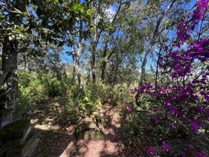 VENTA TERRENO EN LOS TEMAZCALES VILLA DEL CARBÓN