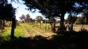 VENDO TERRENO EN LOMA DE LA HACIENDA VILLA DEL CARBON