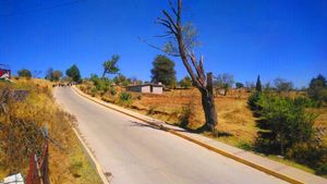 Terreno  rumbo a la presa del llano de Zacapexco