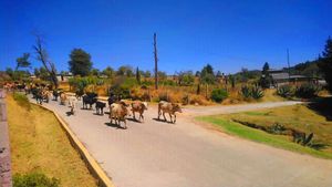 Terreno  rumbo a la presa del llano de Zacapexco