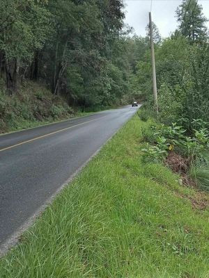 TERRENO A PIE DE CARRETERA