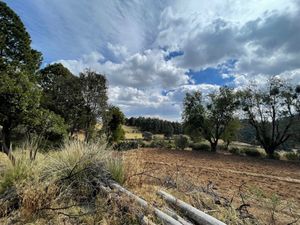 VENTA TERRENO EN EL ÁGUILA, VILLA DEL CARBÓN