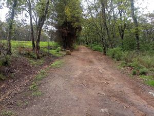 TERRENO EN SAN MARTÍN CACHIHUAPAN VILLA DEL CARBÓN