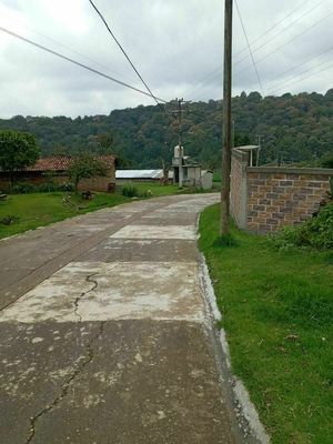 TERRENO EN LLANO DE ZACAPEXCO