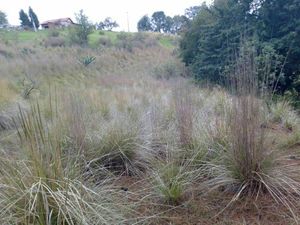 TERRENO RUSTICO EN SAN SEBASTIAN, BUENOS AIRES, SAN BARTOLO MORELOS