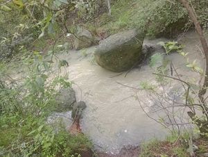 TERRENO CON RIO, EN SAN MARTIN CACHIHUAPAN, VILLA DEL CARBON