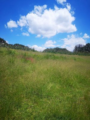 TERRENO EN ORATORIOS, VILLA DEL CARBÓN