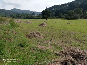 VENDO TERRENO EN MONTE DE PEÑA VILLA DEL CARBON