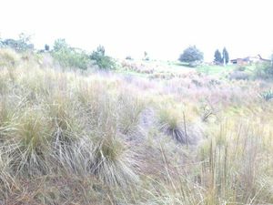 TERRENO RUSTICO EN SAN SEBASTIAN, BUENOS AIRES, SAN BARTOLO MORELOS