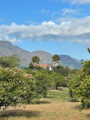 QUINTA EN ALLENDE, NUEVO LEON