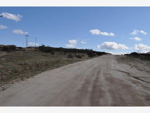 Terreno en Venta en Luis Echeverría Álvarez (El Hongo) Tecate