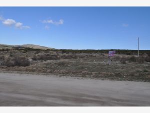 Terreno en Venta en Luis Echeverría Álvarez (El Hongo) Tecate