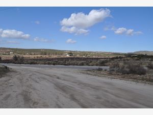 Terreno en Venta en Luis Echeverría Álvarez (El Hongo) Tecate