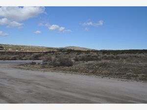 Terreno en Venta en Luis Echeverría Álvarez (El Hongo) Tecate