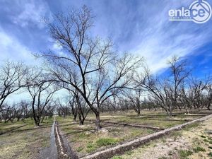 Venta Nogalera con bodega