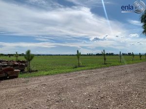 Terreno en Venta Campestre El Galeón.