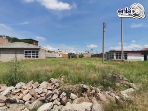 Renta bodega, oficina y terreno en Blvd Armando del Castillo .