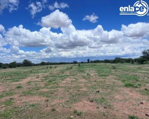 TERRENO LABORABLE Y DE AGOSTADERO VICENTE GUERRERO