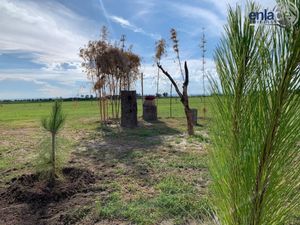 Terreno en Venta Campestre El Galeón.