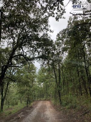 Venta terreno Bosques de Llano Grande