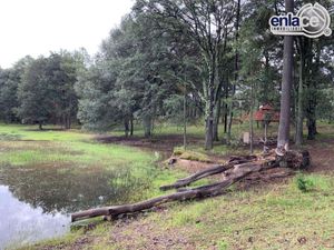 Venta terreno Bosques de Llano Grande