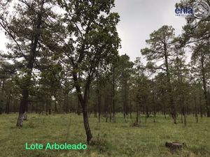 Terreno en Venta en Llano Grande