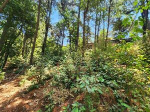 TERRENO EN VENTA, CERRO GORDO.