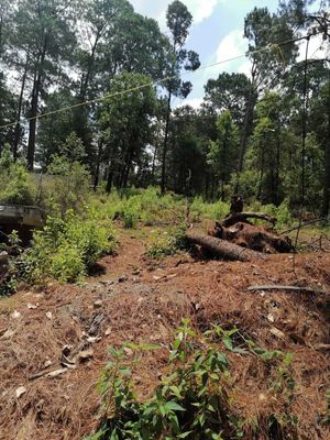 TERRENO EN VENTA, CERRO GORDO, VALLE DE BRAVO