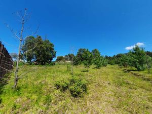 TERRENO EN CONDOMINIO EN SAN SIMÓN, VALLE DE BRAVO