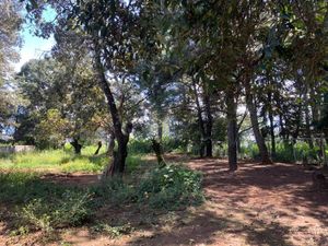 TERRENO EN ACATITLÁN, VALLE DE BRAVO