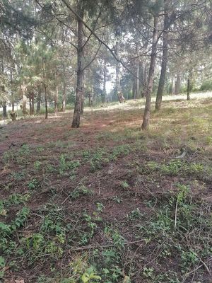 TERRENO EN ACATITLÁN, VALLE DE BRAVO