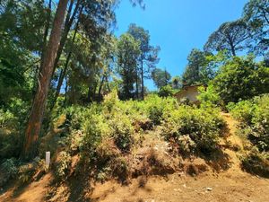 TERRENO EN VENTA, CERRO GORDO.