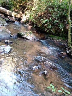 TERRENO CON RÍO A 20 MIN DE AVÁNDARO