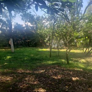 TERRENO EN EL CENTRO DE VALLE DE BRAVO CON VISTA AL LAGO