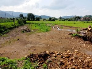 TERRENO EJIDAL EN EL ORTIGO, SAUCOS, VALLE DE BRAVO