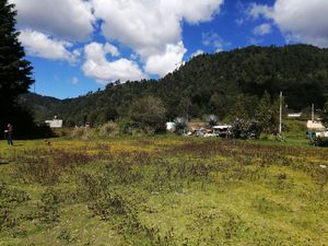 TERRENO EN VENTA EN LOS SAUCOS