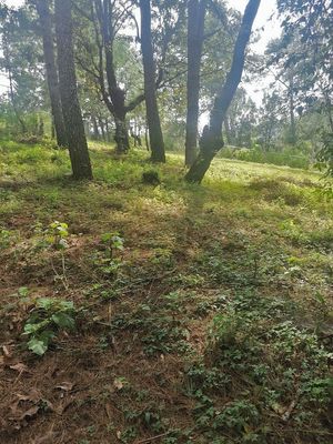 TERRENO EN ACATITLÁN, VALLE DE BRAVO