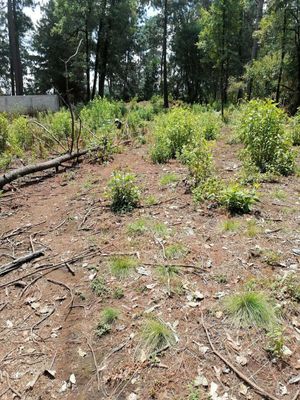 TERRENO EN VENTA, CERRO GORDO, VALLE DE BRAVO