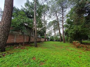 TERRENO A LA VUELTA DEL CLUB DE GOLF AVÁNDARO