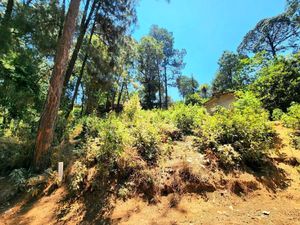 TERRENO EN VENTA, CERRO GORDO.