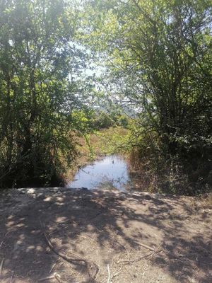 TERRENO EN VENTA, SANTO TOMÁS EL PEDREGAL