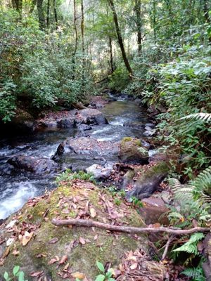 TERRENO CON RÍO A 20 MIN DE AVÁNDARO