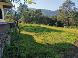 TERRENO EN VENTA A PIE DE CARRETERA EN PIPIOLTEPEC