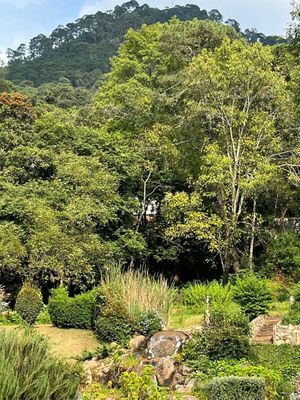 TERRENO EN VENTA EN EL COPORITO, VALLE DE BRAVO